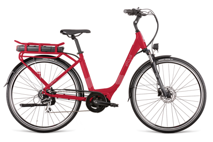 DEMA ROYAL 28 RED 2022